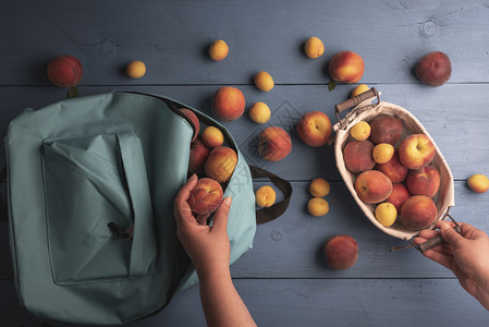 金属篮子中新鲜收获的桃子和杏图片