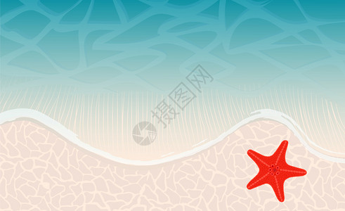 条鱼海滩上的红色海星插画