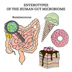 瘤胃球菌Ruminocus药物病媒说明插画