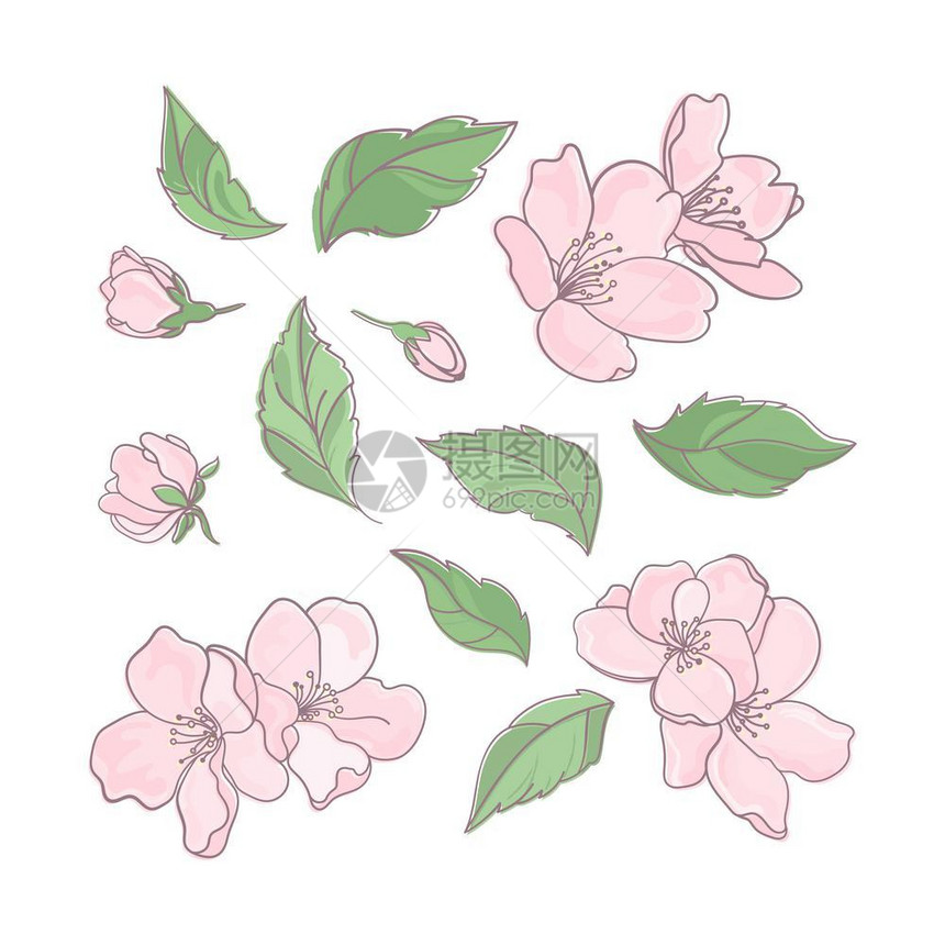 粉红色的花朵矢量插图背景图片