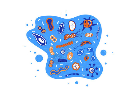 瘤胃球菌细菌病毒微生物真菌图集插画