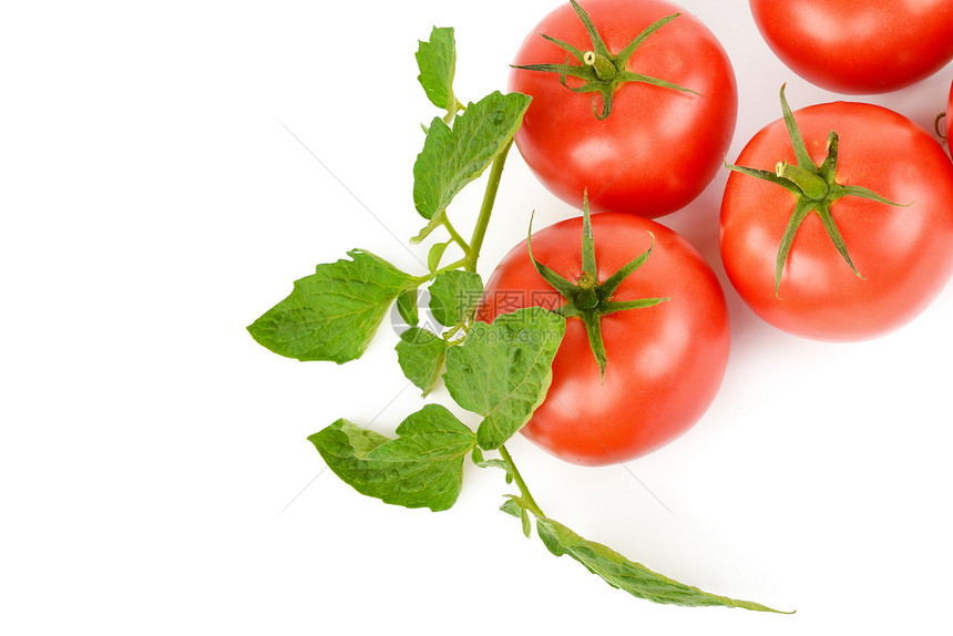 白色背景上隔离的新鲜开胃西红柿文本空闲间图片