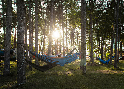 森林吊床森林的树上挂着吊床森林的阳光清晨有许多吊床户外休息的概念背景