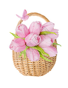 既往开来一束粉红色的郁金香花用天然柳条和粉红色蝴蝶做成的有垂饰花篮在白色背景上隔离开来背景