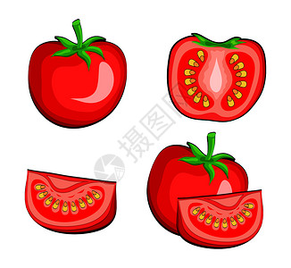 番茄蔬菜一半和切片手画矢量说明eps10图片