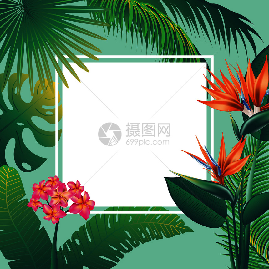 热带叶子和花朵背景设计图片