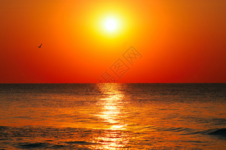 海边的和红日出图片