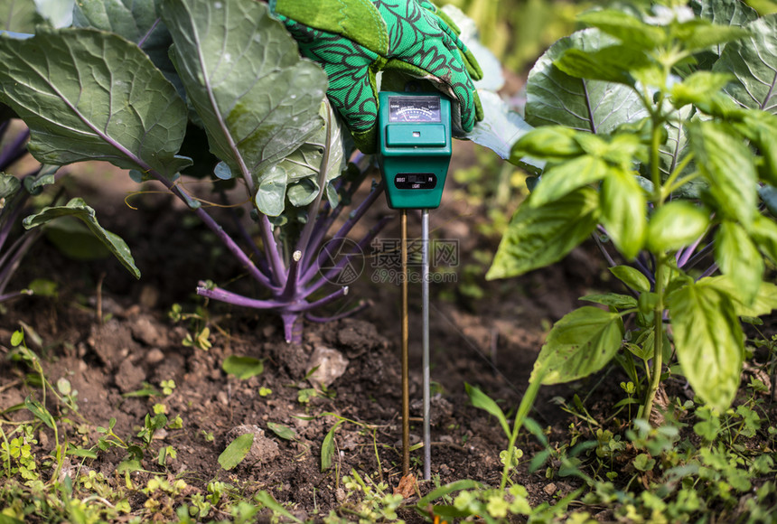 土壤湿度测量仪用数字设备测量土壤湿度氮和hp花园中的女农民业新技术的概念图片