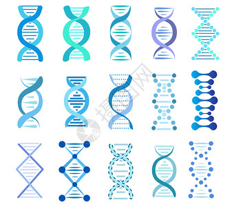 分子结构模型dna片段集种群矢量说明插画