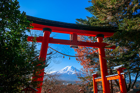 山桑子地标富士高清图片