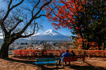 2018年的fujiyoshdajpnfuji山和红色的树背景图片