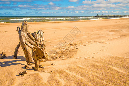 断水断电黄海滩上漂浮的木头背景