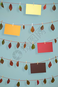 充满欢乐的秋叶背景和不同的彩色空纸页挂在绳子上带木片挂在蓝色的墙上图片
