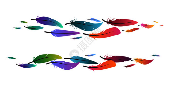多彩的羽毛带色羽毛的刷子组邀请函横幅和设计所用的矢量boh元素组带色羽毛的刷子组设计图片