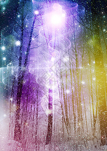星空下的冬季森林图片