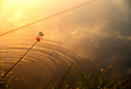 金色日出后清晨在雾湖钓鱼铃闭合在金色日出后清晨在雾湖钓鱼铃闭合图片