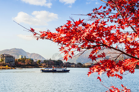 冬季美丽的湖川口子旅游的观光船有选择聚焦点红秋的山坡叶前景YamnshiJapn背景图片