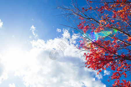 白云和太阳耀斑日月色彩多的季节变化概念自然景象壁纸图片