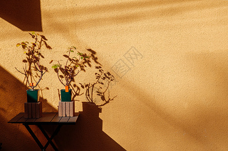 木桌和黄墙背景的木板和黄墙背景上有温暖的清晨阳光和影子的小型植物锅背景图片