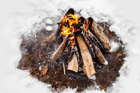 寒冬的营火雪森林冬天旅游业雪的火焰冬天背景大自然图片