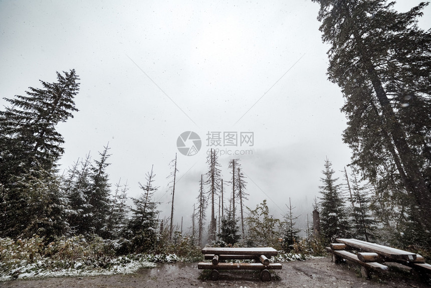 冬季的山林旅游者娱乐的地方雾中和雪背景的山图片