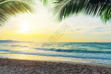 日落时的热带海滩天空有椰子树枝旅行和自然背景图片
