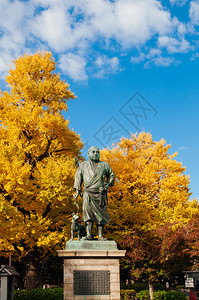 东京武士雕像图片