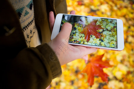 秋的情绪女孩在智能手机的秋月叶上拍照图片