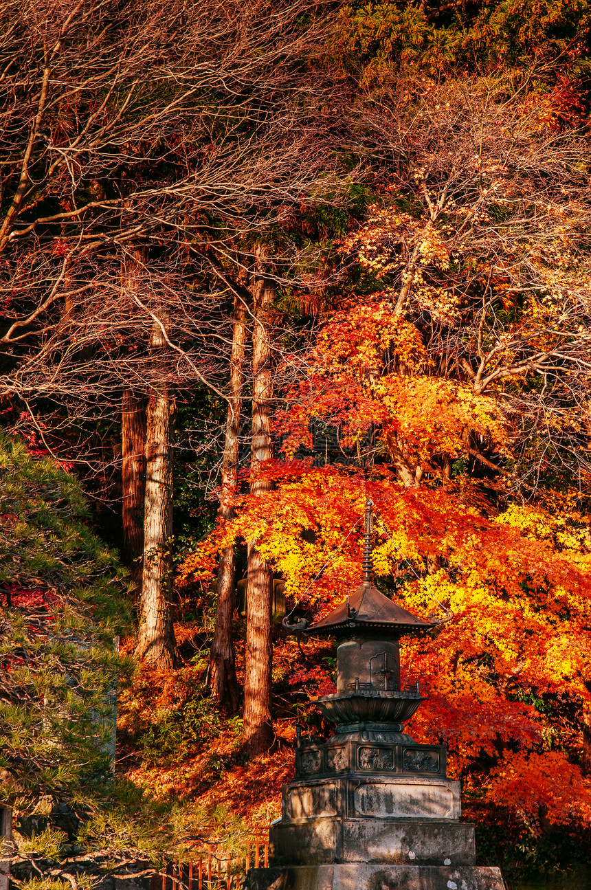 秋天Yamderishkuji寺庙的青铜塔日本雅帕塔马加Yamgt图片