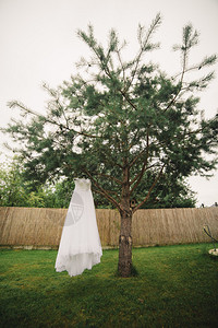 婚礼服挂在树上背景图片