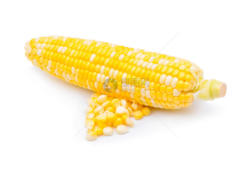 白色背景上孤立的玉米图片