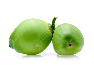 白色背景的绿椰子水果图片