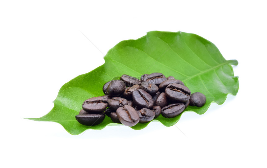 白底咖啡豆和叶图片