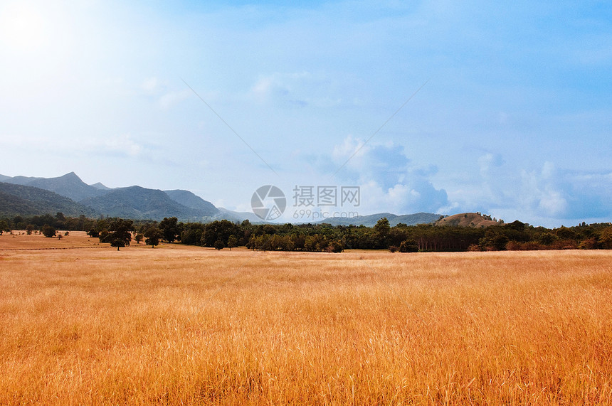 寒冬秃山或草原地貌图片