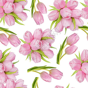粉红色郁金香花束作为无缝的图案在白色背景上隔离背景图片
