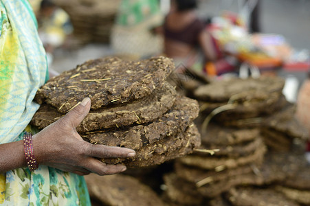 马哈拉施特省邦销售的牛粪饼高清图片