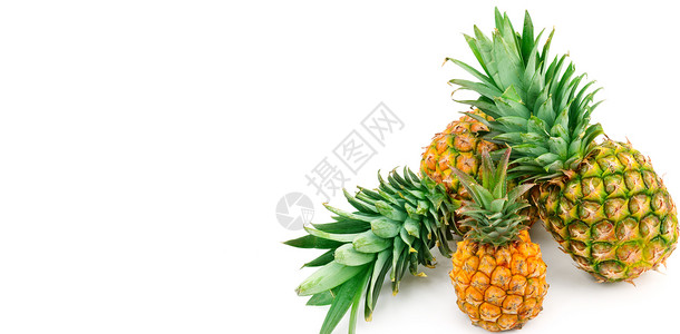 白色背景上孤立的一套菠萝健康的食物免费文本空间宽幅照片图片