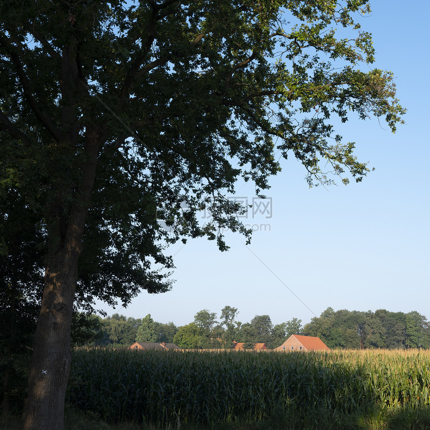 典型的红砖田和农村地貌下萨松以南有玉米田图片