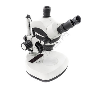 白色背景上分离的显微镜背景图片