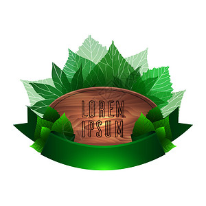 植物装饰丝带带绿叶的木板横幅广告矢量设计元素插画