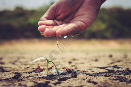 给地上浇水不育高清图片