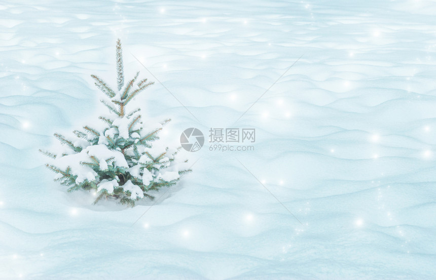 冬季风景圣诞节落下美丽的雪图片
