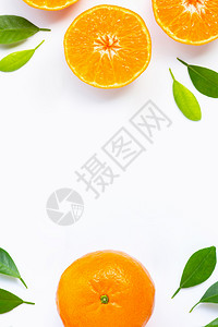 橙色框架在白背景上隔离绿叶复制空格背景图片