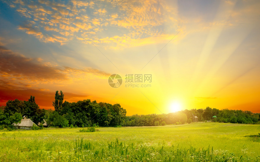 绿地和明夕的日落农村地貌图片