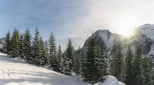 阳光明媚的冬天风景山峰有雪盖林树还流在阳光下奥斯特里亚的厄尔瓦德寒冷的12月天背景图片