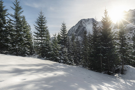 冬天阳光明媚的气在雪盖山峰和树上梦幻的圣诞节旅行地点冬天的风景图片