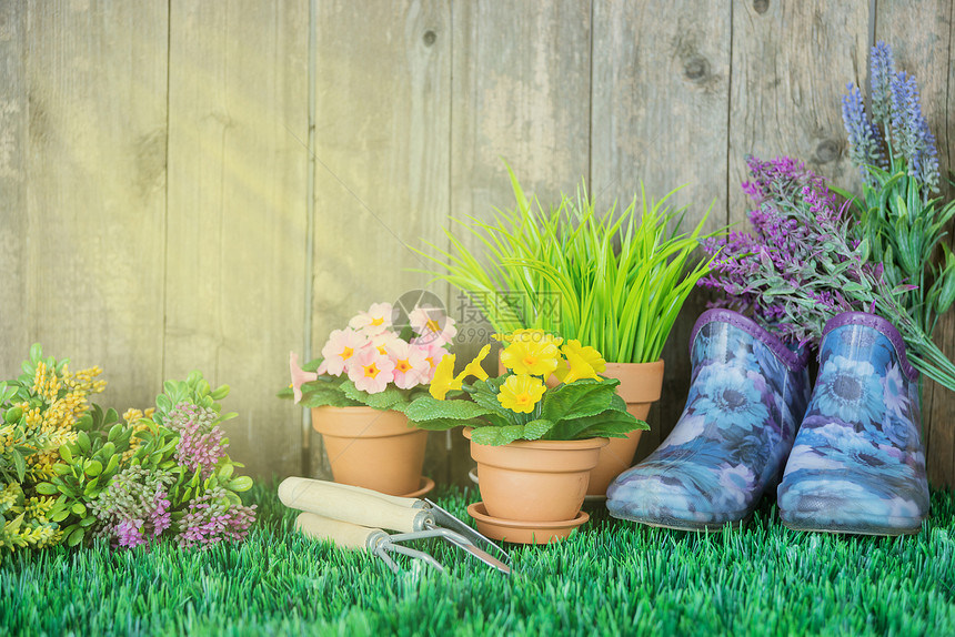 园艺工具及花卉在草地上图片