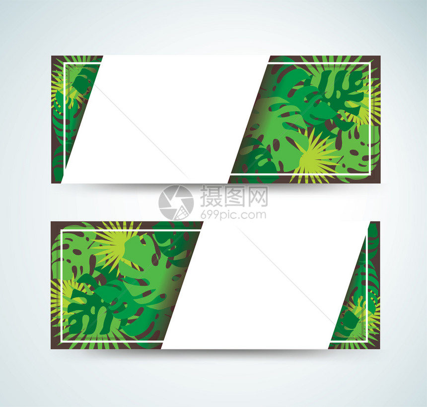 热带树叶样板背景图片