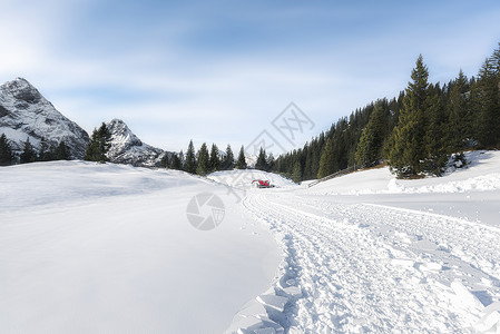 冬季森林和道路被雪覆盖景观图片