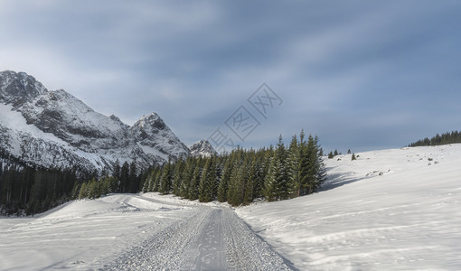 白雪覆盖的高山道路图片